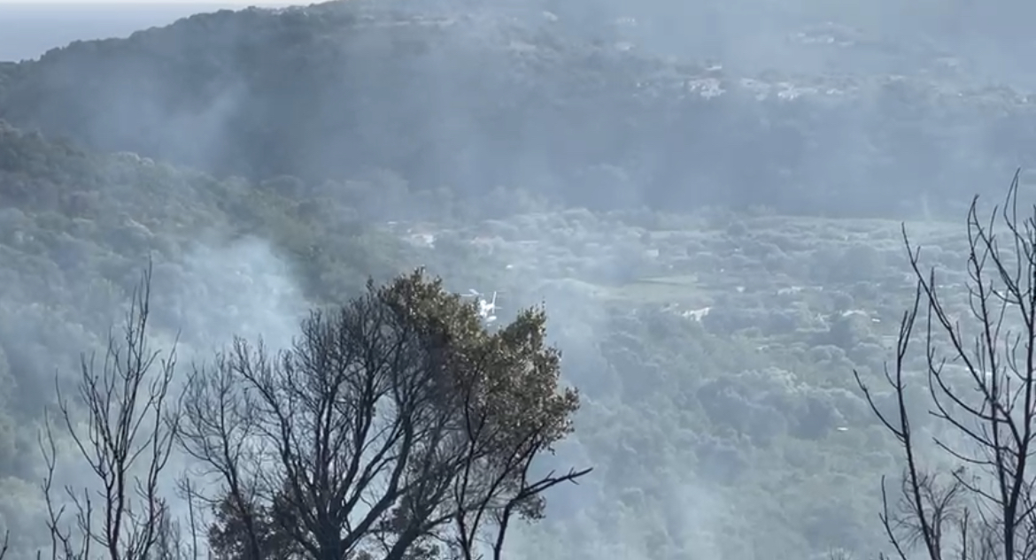 Il Forte Vento Alimenta Gli Incendi Brucia Il Cilento InfoCilento