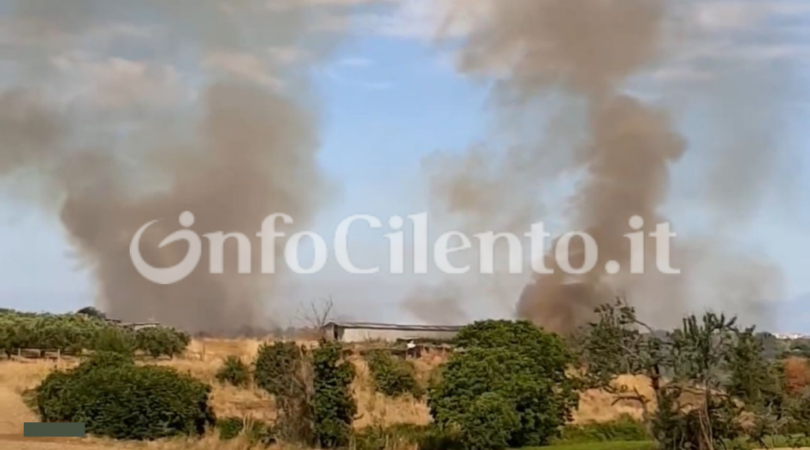 Albanella incendio in unarea rurale di località Borgo San Cesareo