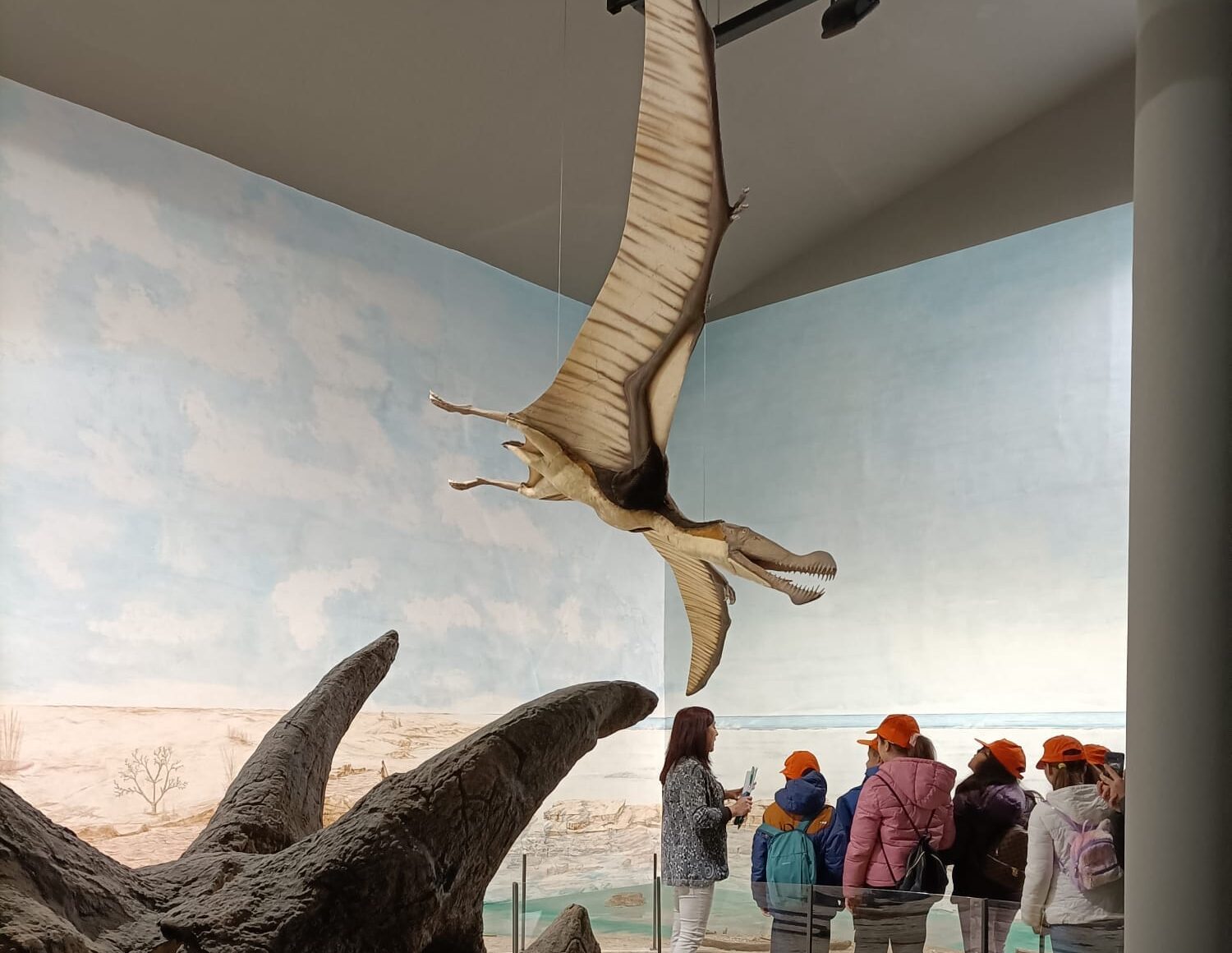 Museo Paleontologico