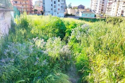 Parco di Eboli nel degrado