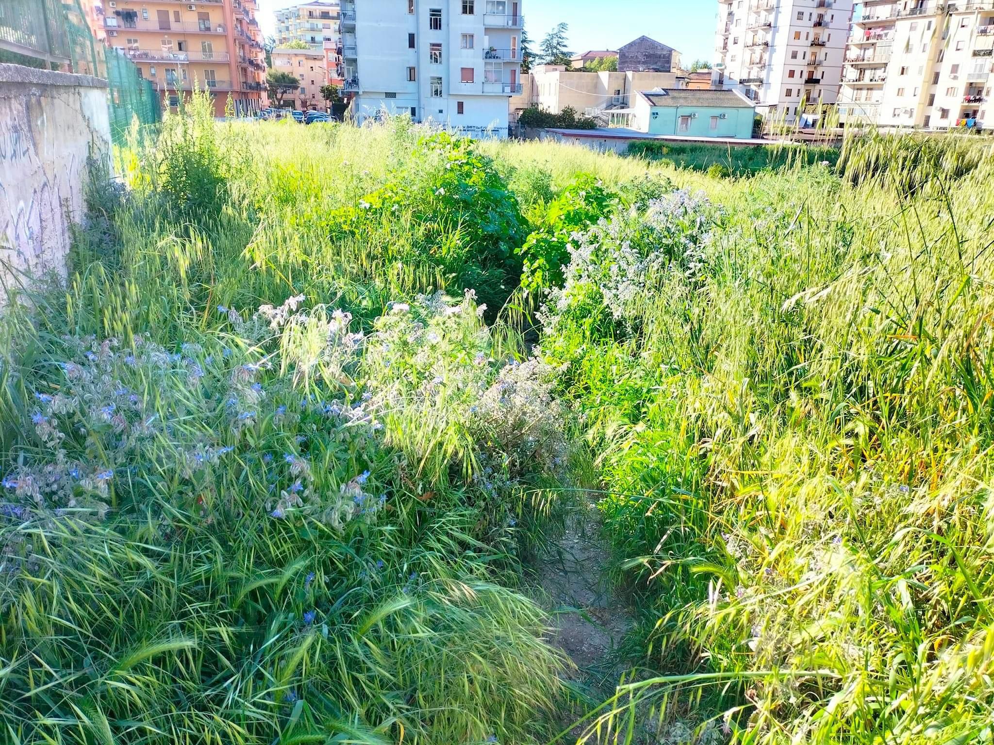 Parco di Eboli nel degrado