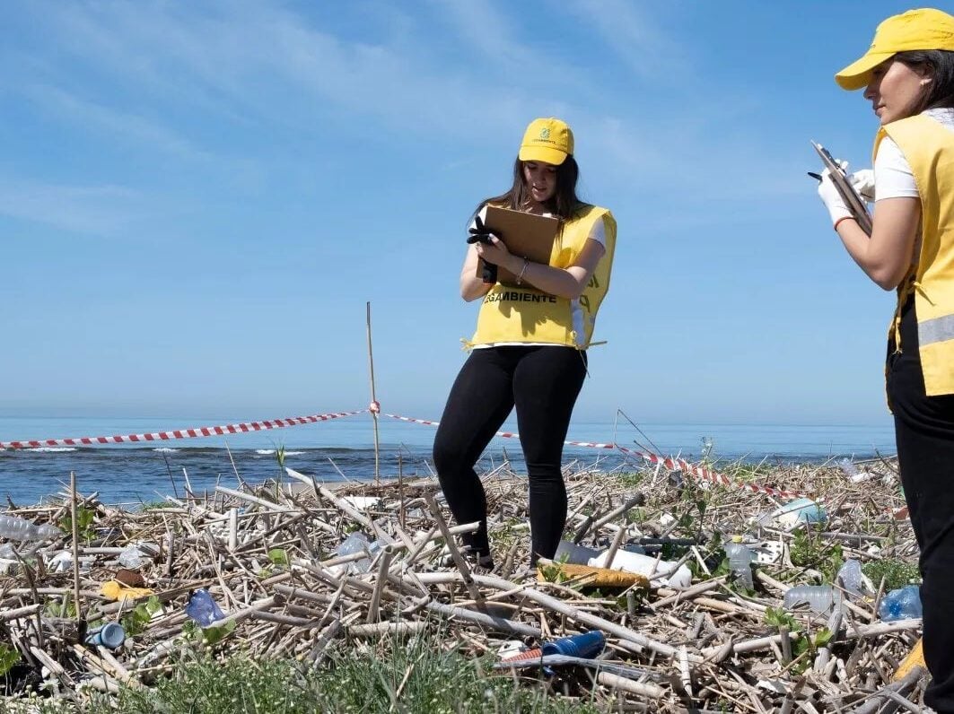 Beach Litter 2023