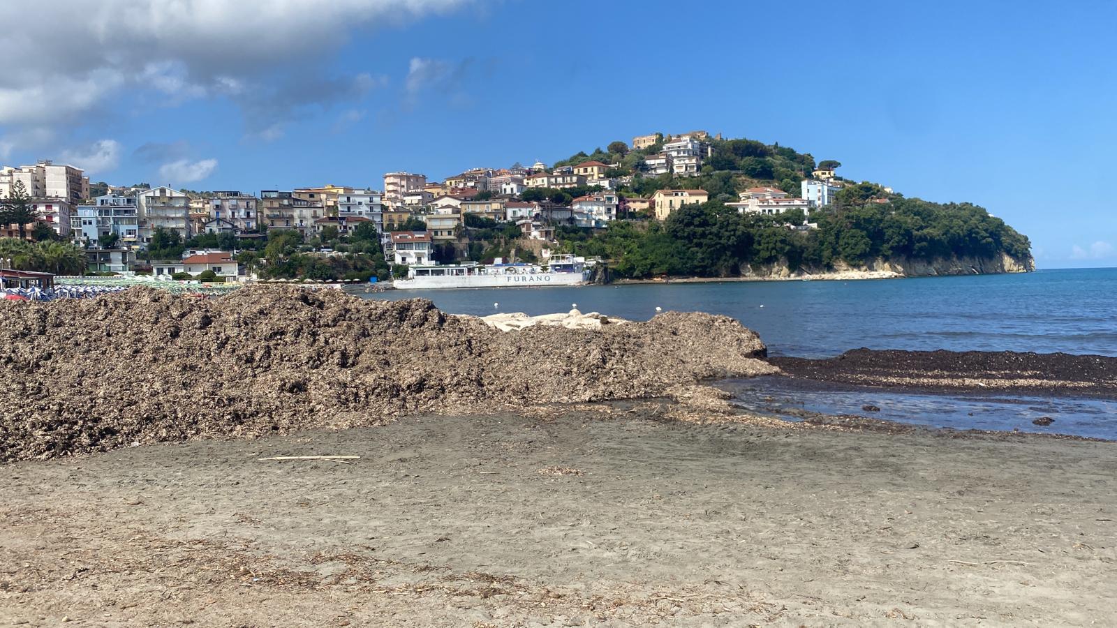 Posidonia Lido Azzurro