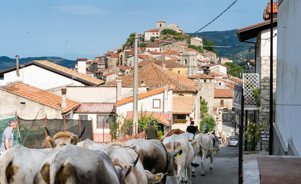 Carnevale Corleto Monforte