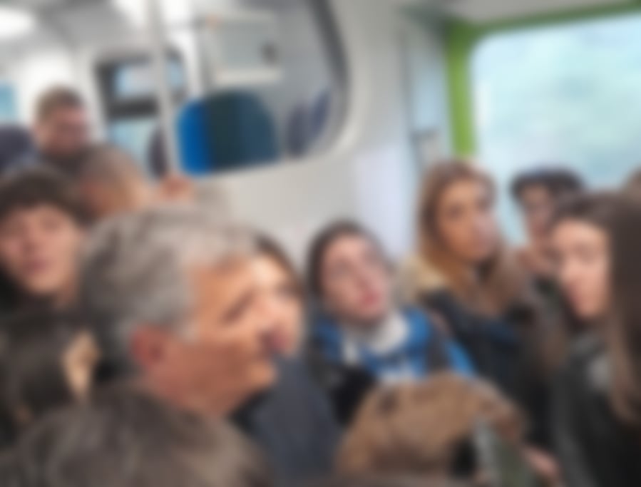 Disagi sui treni