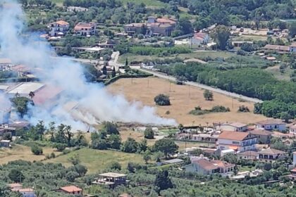 Incendio Cenito