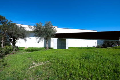 Museo Hangar