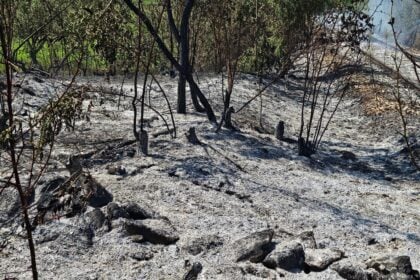 Incendio Sala Consilina