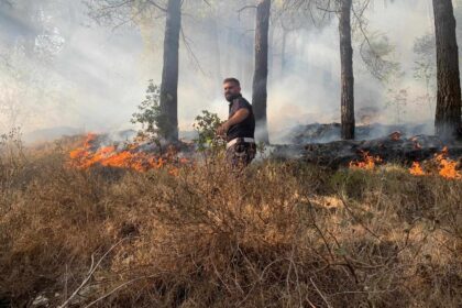 Incendio Vallo di Diano