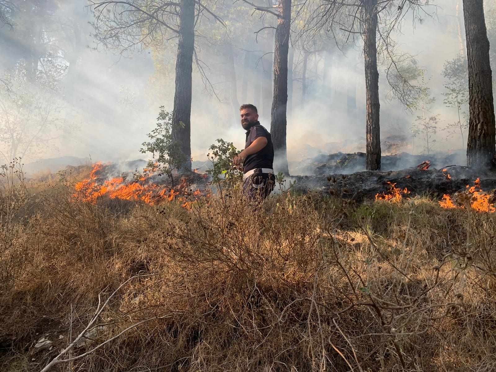 Incendio Vallo di Diano