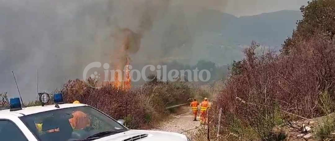 Incendio Centola, località Laccio