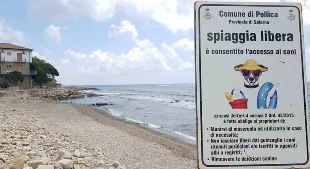 Spiaggia per cani a Pollica