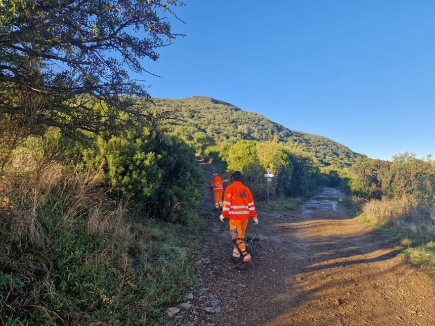 Trentova Tresino