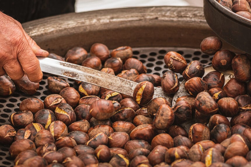 Castagne sagra