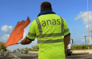 Anas