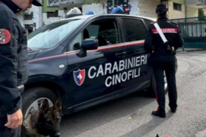 Carabinieri Cinofili