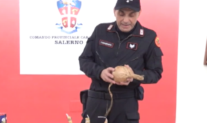 Carabinieri artificieri