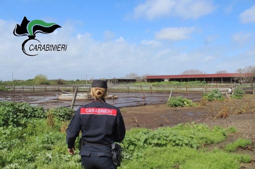 Carabinieri, sversamenti illeciti