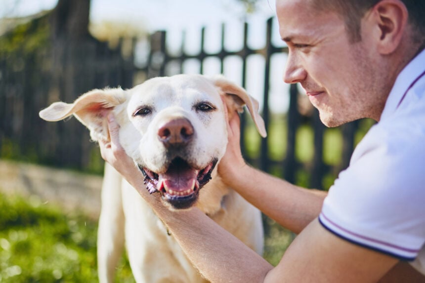 Cane e padrone