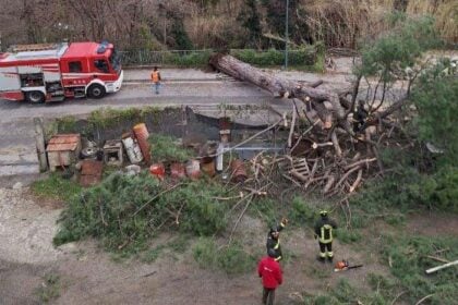 Vallo della Lucania, crollo albero