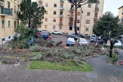 Salerno, albero caduto maltempo