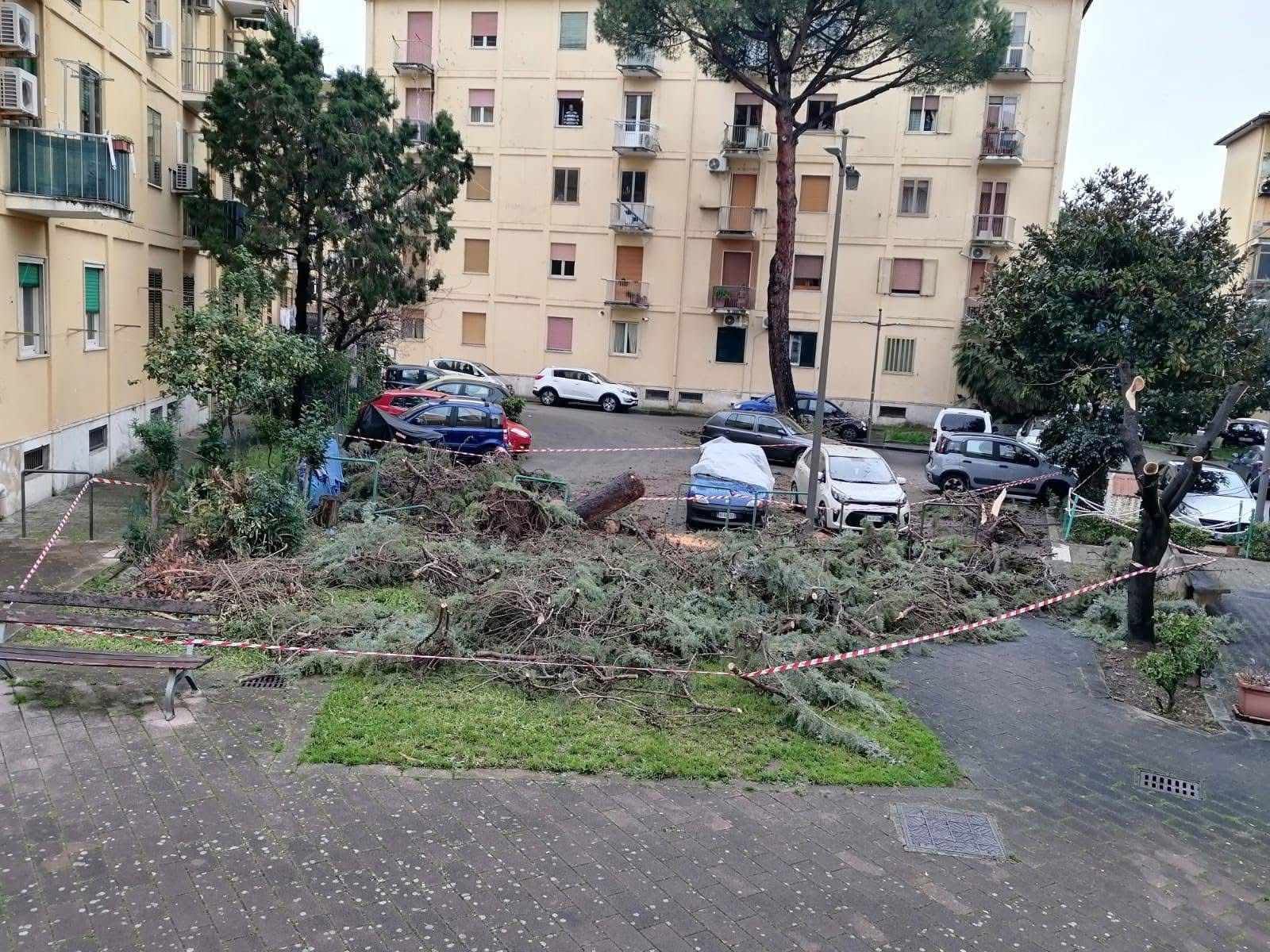 Salerno, albero caduto maltempo