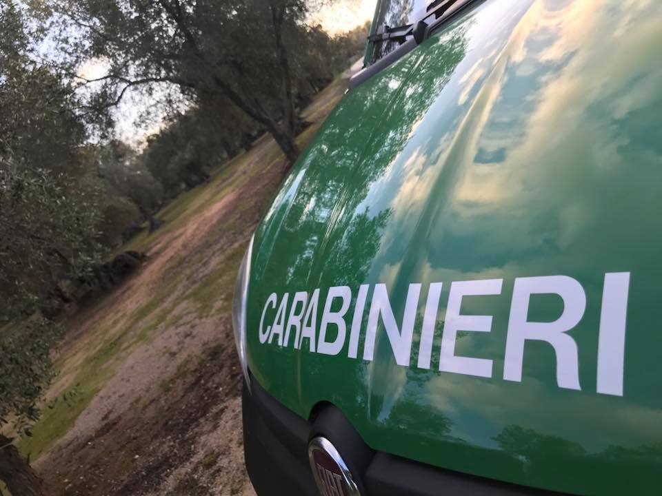 Carabinieri forestali