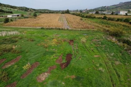 Impianto biomasse Capaccio