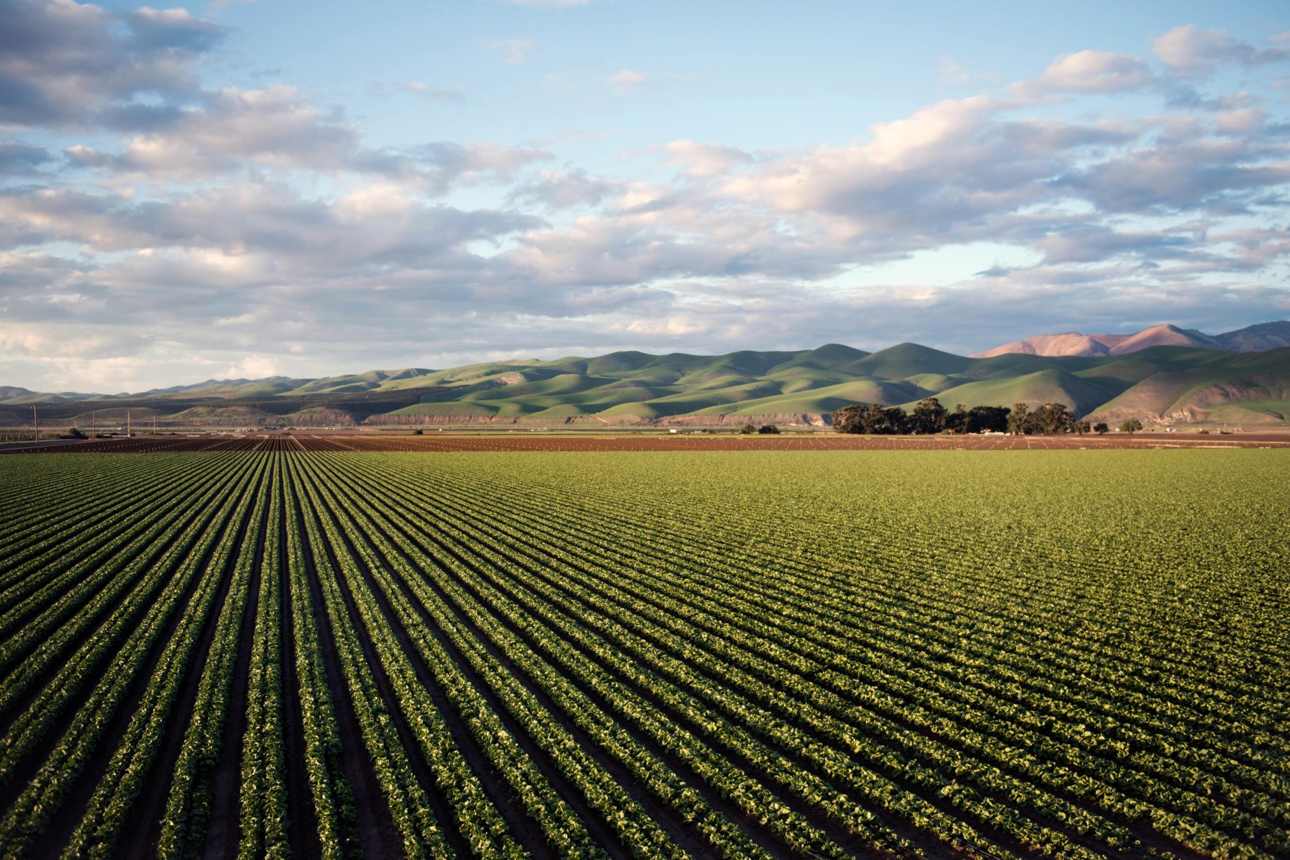 Agricoltura